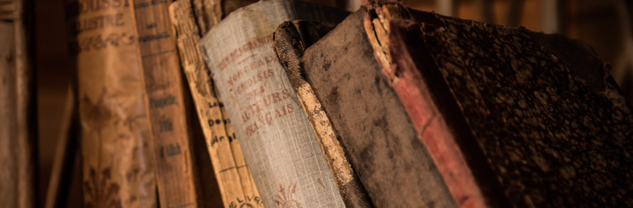 Diözesanarchiv / © pixabay.com Ein Regal mit alten Büchern.