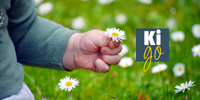 Kinderhand mit Gänseblümchen.