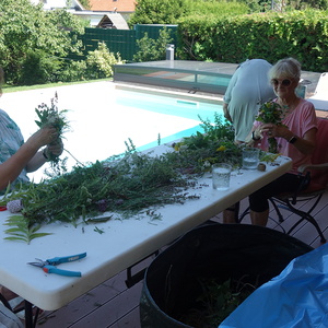             Elfi & Sissy beim Kräuterstrüßerl binden                   