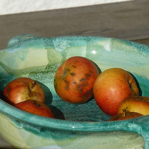 Obstschale: retten wir Obst  mit kleinen und großen Schönheitsfehlern