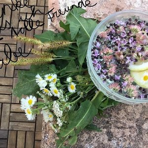 Meine Schale der Dankbarkeit