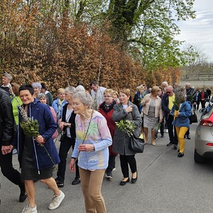 Palmprozession in die Pfarrkirche