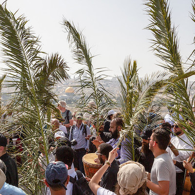 Teilnehmer halten lange Palmzweige bei der Palmsonntagsprozession in Jerusalem am 10. April 2022.