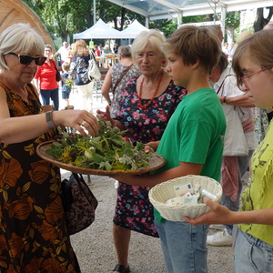 Kräutersträußerl für Gläubige