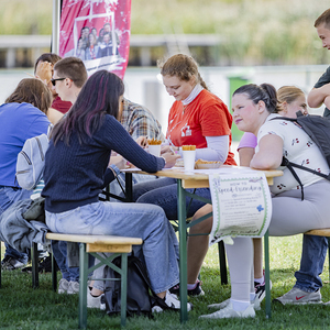 Cross Pulse Pannonia
